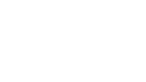 FF-LANDERS